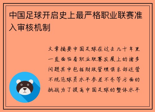 中国足球开启史上最严格职业联赛准入审核机制